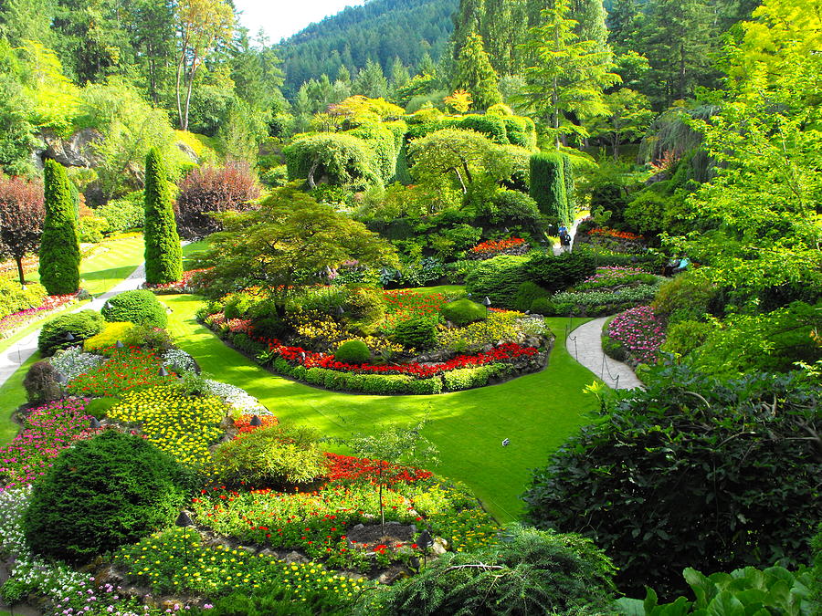 Butchart Gardens Photograph by Phyllis Britton - Fine Art America