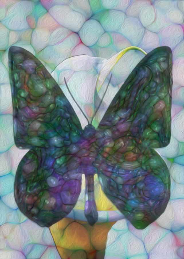 Butterfly Painting - Butterfly #2 by Jack Zulli