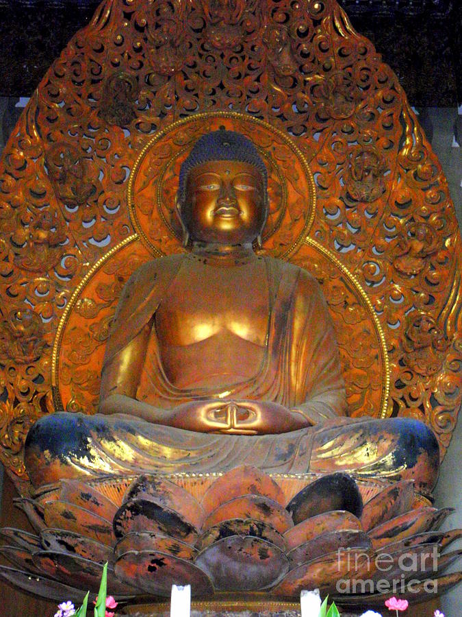 Byodo In - Amida Buddha Photograph by Mary Deal