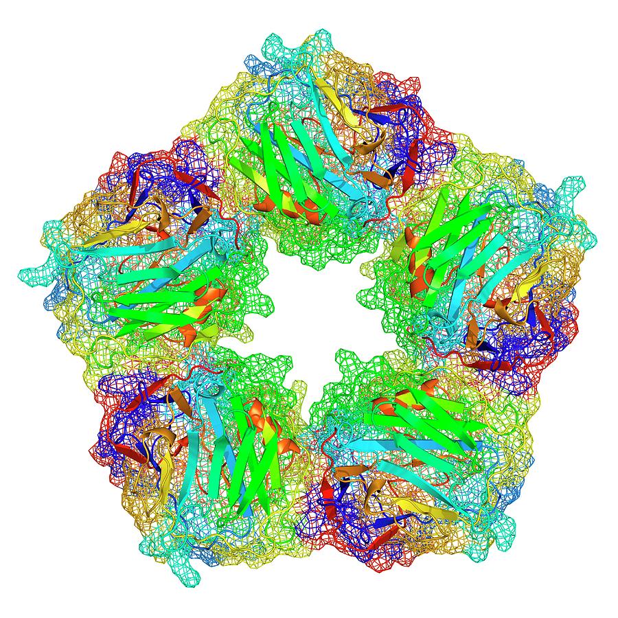 C-reactive Protein #2 Photograph by Alfred Pasieka/science Photo ...