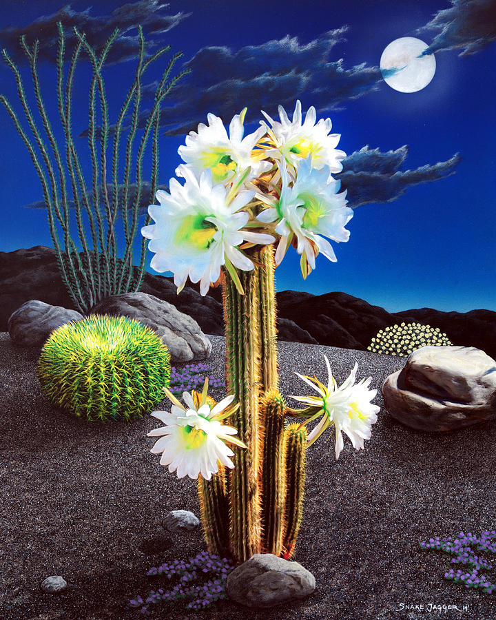 Cactus Blooms #1 Painting by Snake Jagger