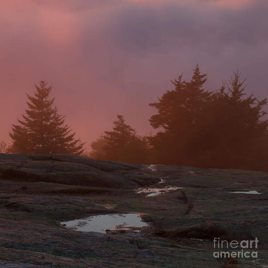 Cadillac Mountain Sunset #2 Photograph by Chris Scroggins