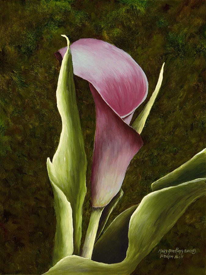 Calla Lily Painting by Mary Ann King