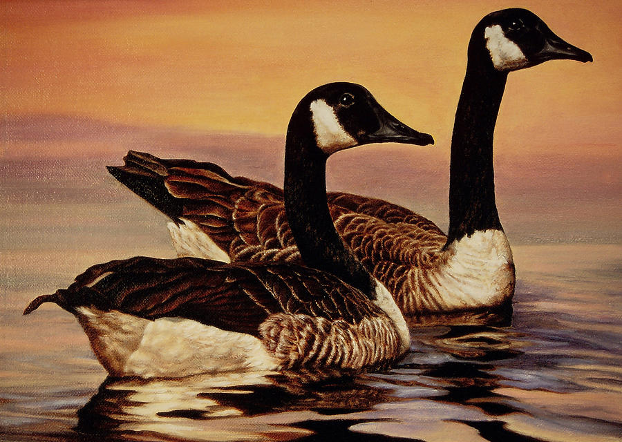 Geese Painting - Canada Geese #2 by Mary Elizabeth White