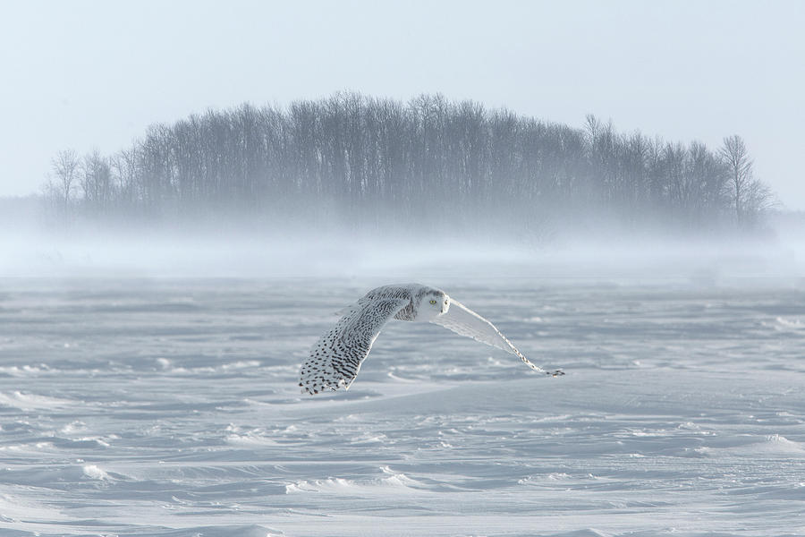 Canada, Ontario, Barrie #2 Photograph by Jaynes Gallery Canada, Ontario, Barrie #2 Photograph by Jaynes Gallery
