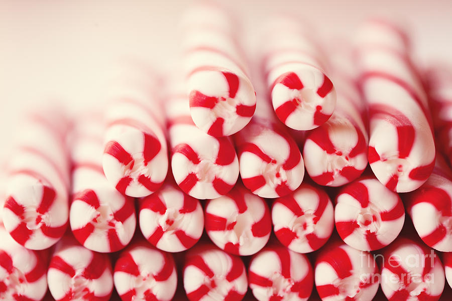 Christmas Photograph - Candy Canes #2 by Kim Fearheiley