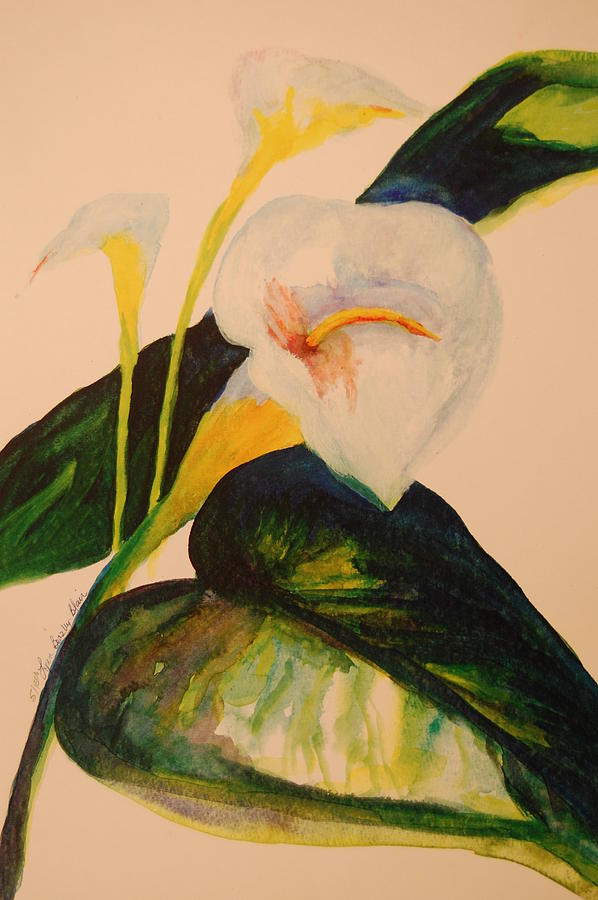 Flower Painting - Canna Lily #2 by Lynn Beazley Blair