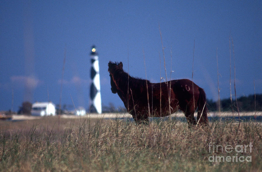 Cape Lookout Lighthouse #2 Photograph by Bruce Roberts