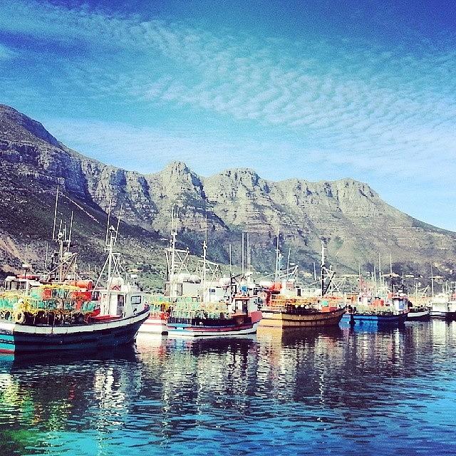 Nature Photograph - #capetown #southafrica #houtbay #2 by Carine Martch