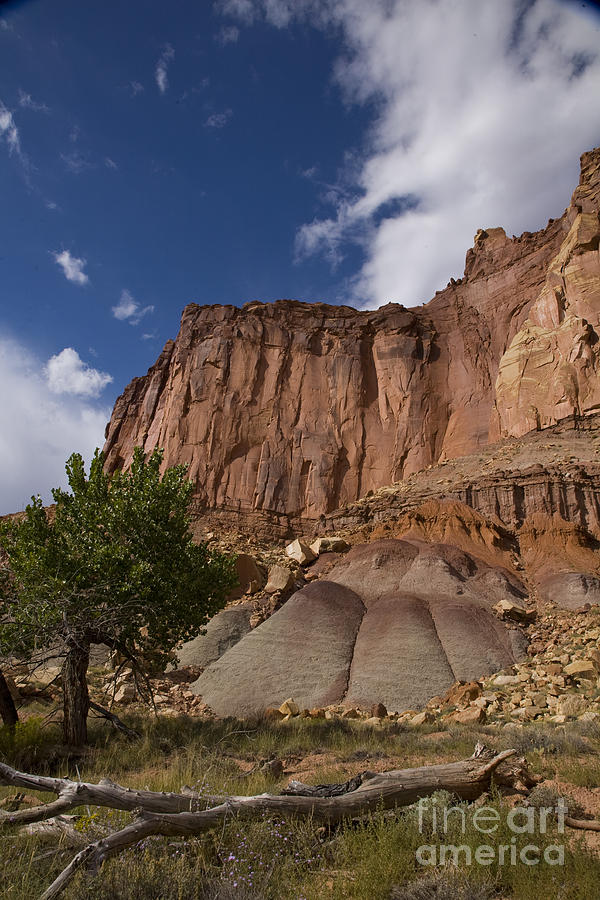 Capitol Reef #2 Photograph by Timothy Johnson