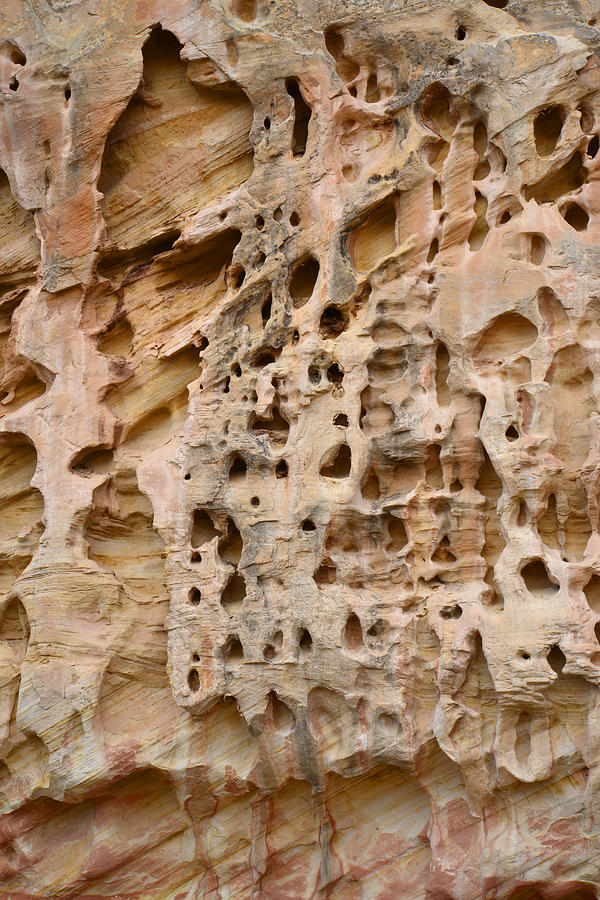 Capitol Reef Wall Art #10 Photograph by Ray Mathis