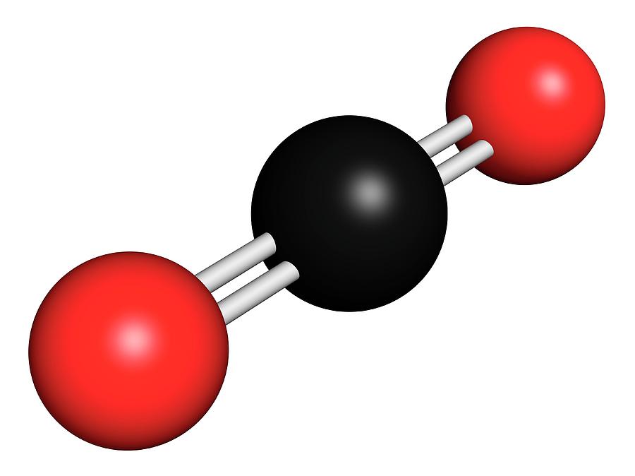 picture of a molecule of carbon dioxide formula