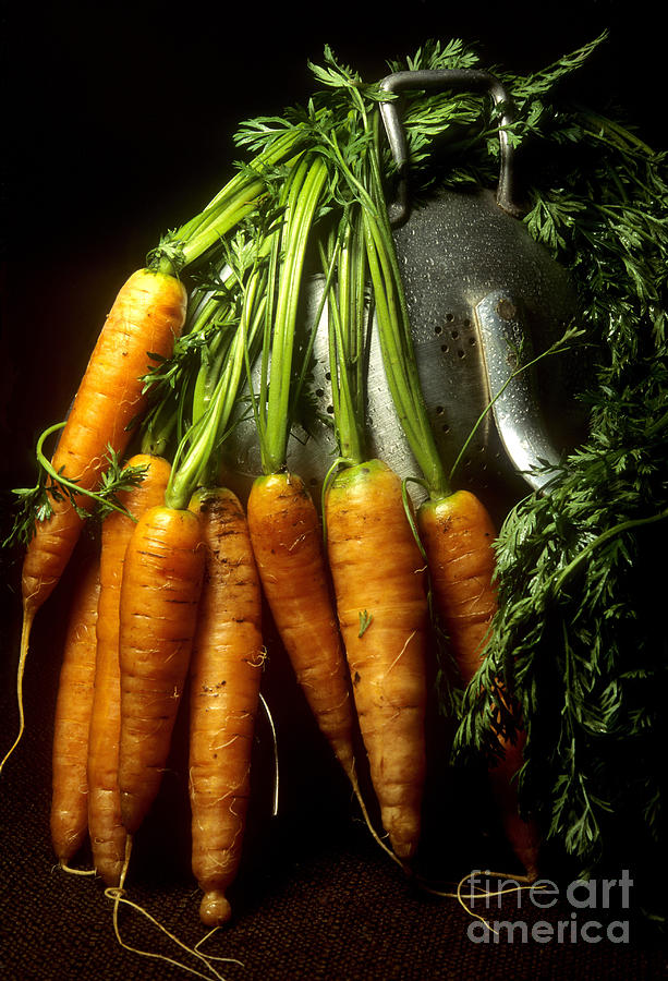 Carrots #2 Photograph by Bernard Jaubert
