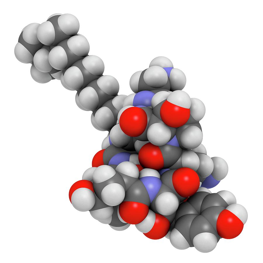 Caspofungin Antifungal Drug Molecule Photograph By Molekuul 9877