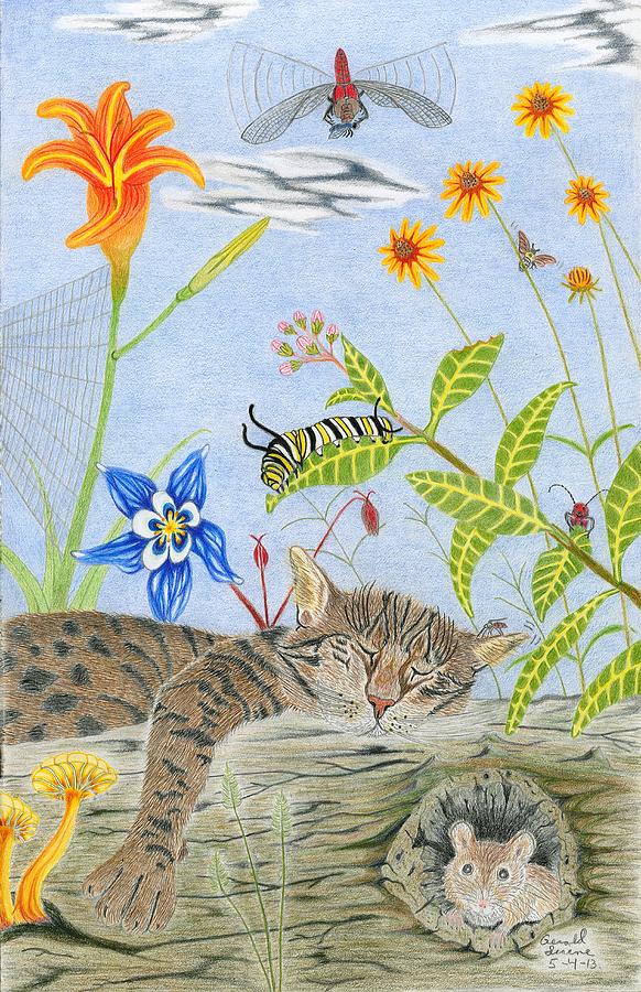 Wildlife Drawing - Cat And Mouse #2 by Gerald Strine