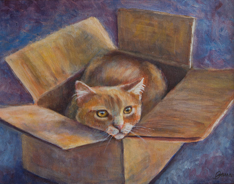 Cat in the Box Painting by Jana Baker