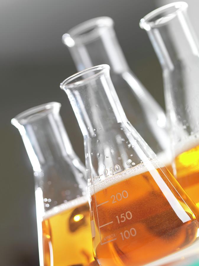 Cell Growth Medium In Flasks Photograph by Andrew Brookes, National