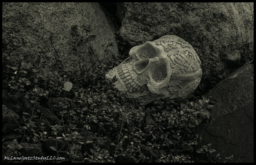 Celtic Skulls Symbolic Pathway to the other world #2 Photograph by LeeAnn McLaneGoetz McLaneGoetzStudioLLCcom