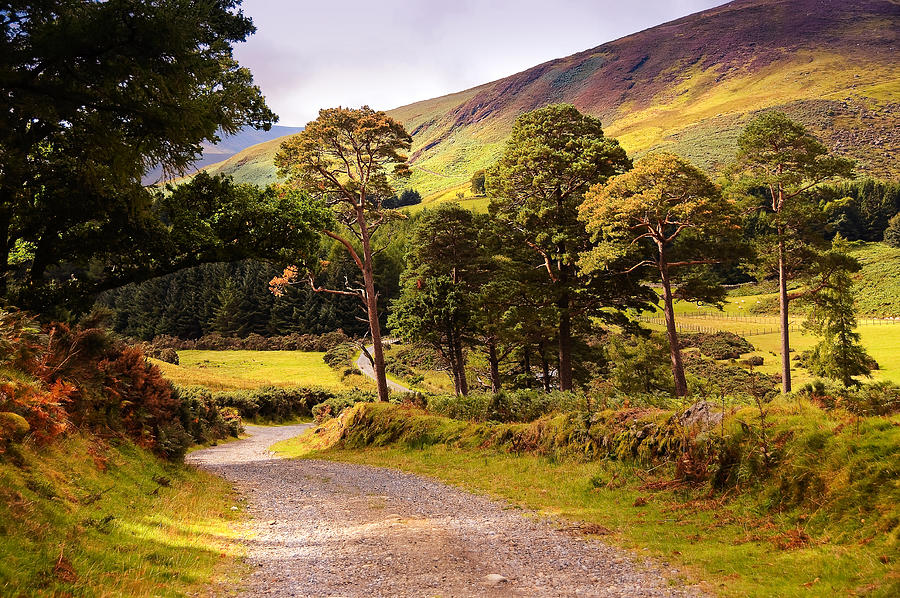 Celtic Spirit. Wicklow  Mountains. Ireland #1 Photograph by Jenny Rainbow