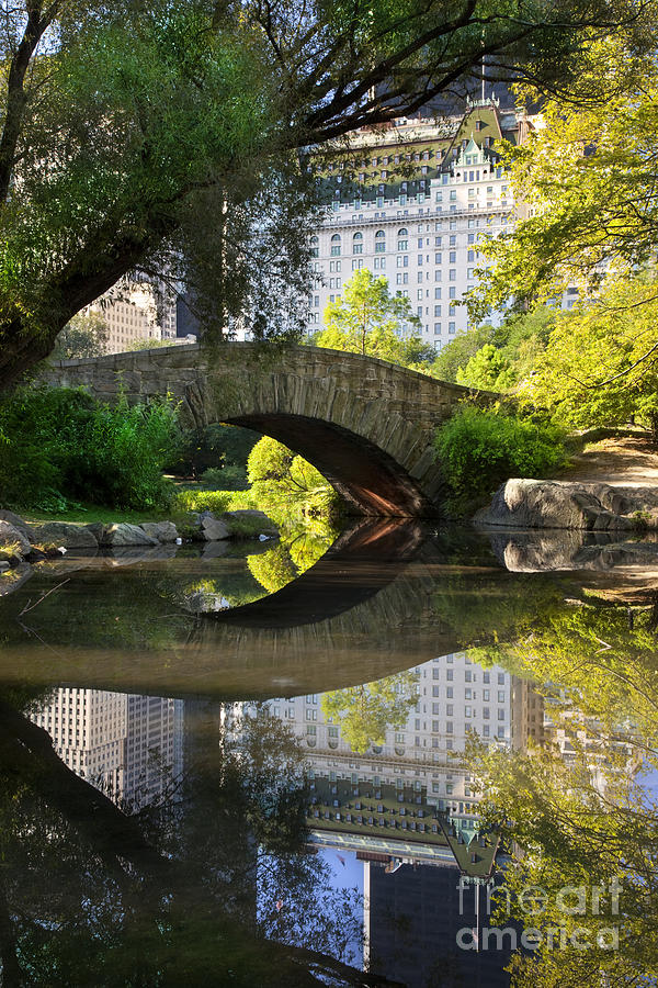 Central Park #2 Photograph by Brian Jannsen