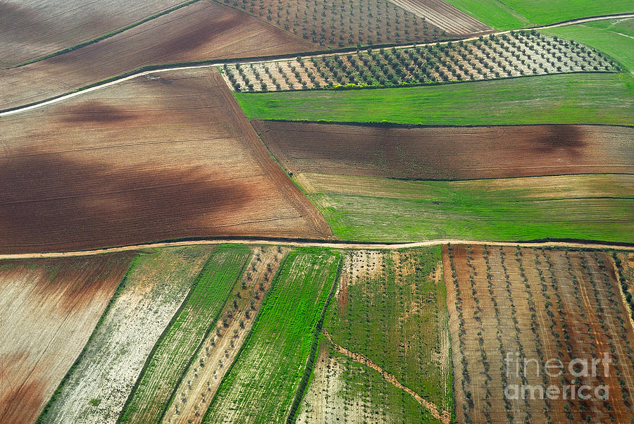 Landscape Photograph - Cereal fields from the air #2 by Guido Montanes Castillo