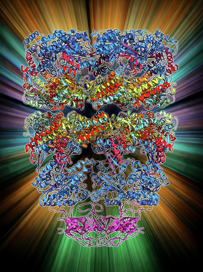 Aggregation Photograph - Chaperonin Protein Complex #2 by Laguna Design