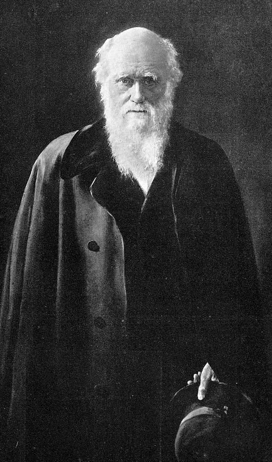 Charles Darwin Photograph by Natural History Museum, London/science ...