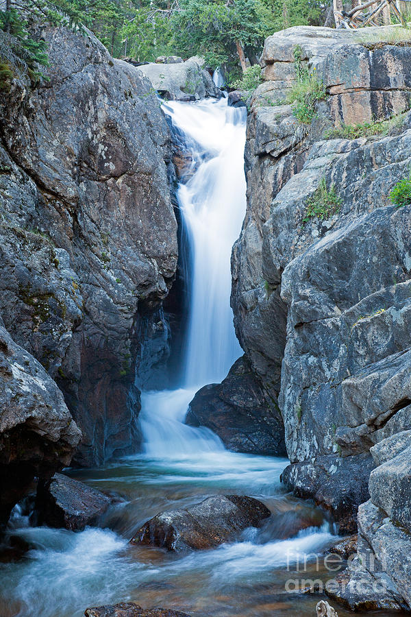 Chasm Falls on Fall River in Rocky Mountain National Park #2 Photograph by Fred Stearns