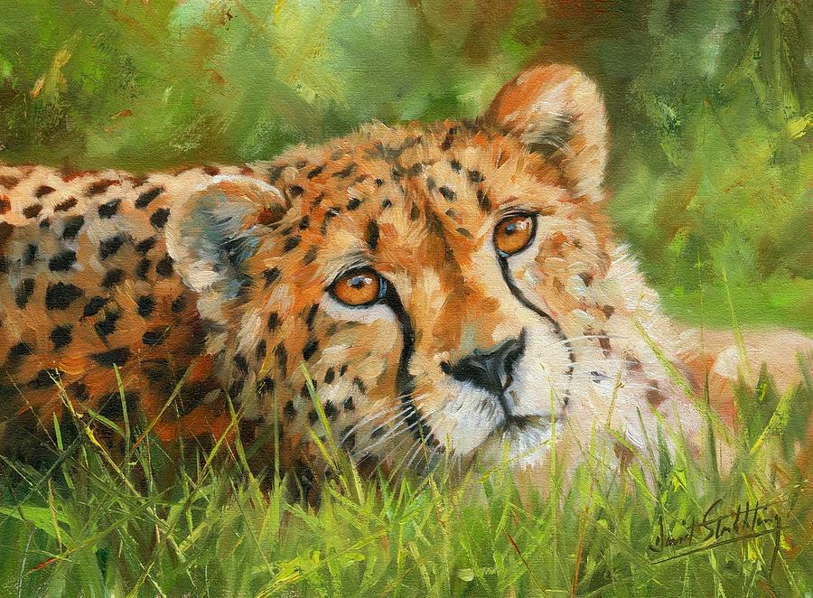 Cheetah Painting - Cheetah #3 by David Stribbling