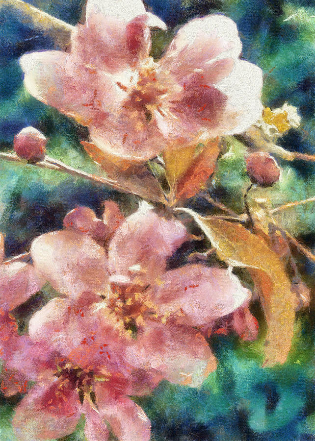 Cherry Blossom  #2 Digital Art by Charmaine Zoe