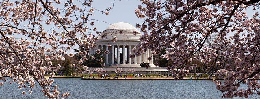 Architecture Photograph - Cherry Blossom Trees In The Tidal Basin #2 by Panoramic Images