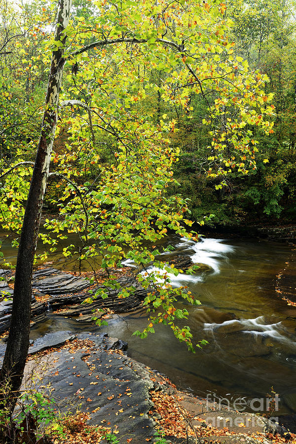 Fall Photograph - Cherry Falls Elk River #6 by Thomas R Fletcher