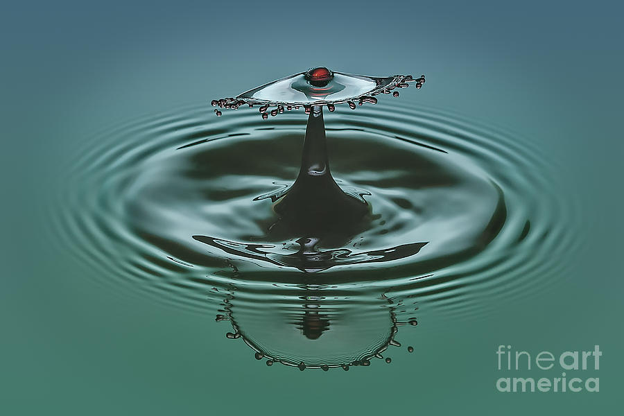 Water Photograph - Cherry On Top #2 by Susan Candelario