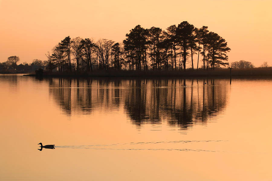 Chesapeake sunset Photograph by Carolyn Derstine