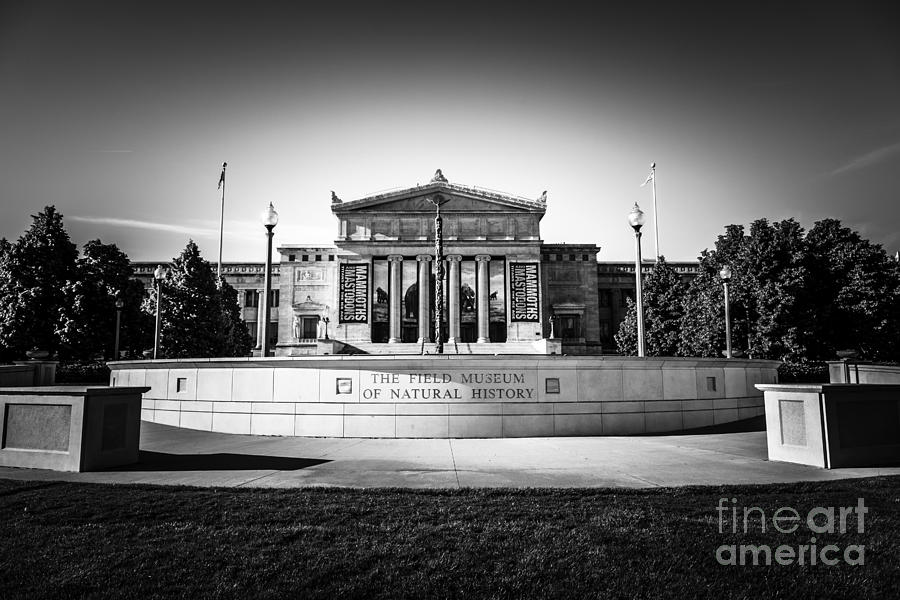 Chicago Field Museum In Black And White Photograph