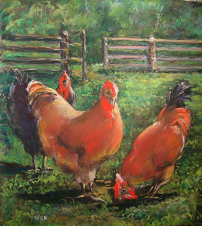 Chick Chick Chicken Pastel by Paula Wild - Fine Art America