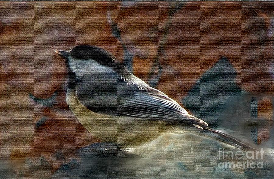 Chickadee in Autumn #2 Photograph by Janette Boyd