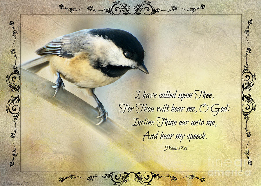 Nature Photograph - Chickadee with Verse #2 by Debbie Portwood