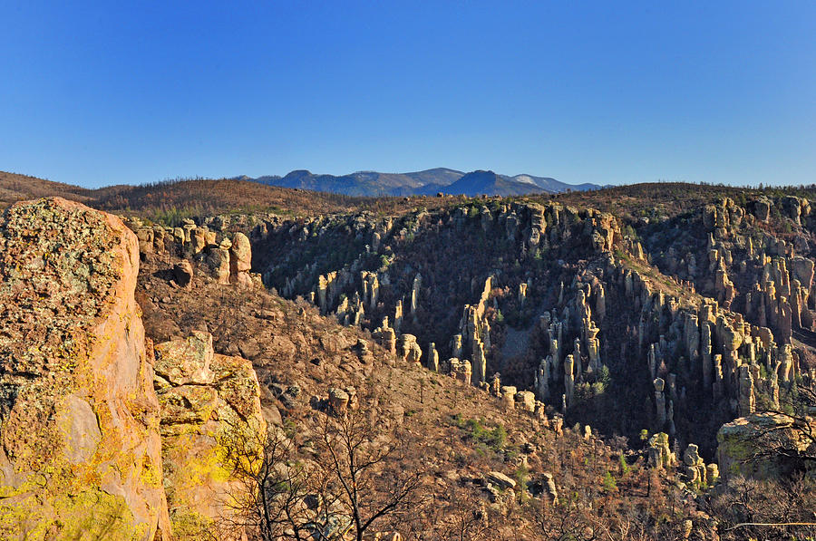 Chiracahua Mountains #1 Photograph by Diane Lent