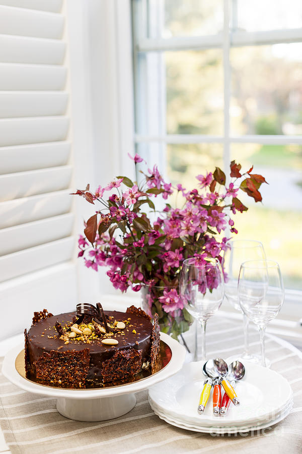 Cake Photograph - Chocolate cake 2 by Elena Elisseeva