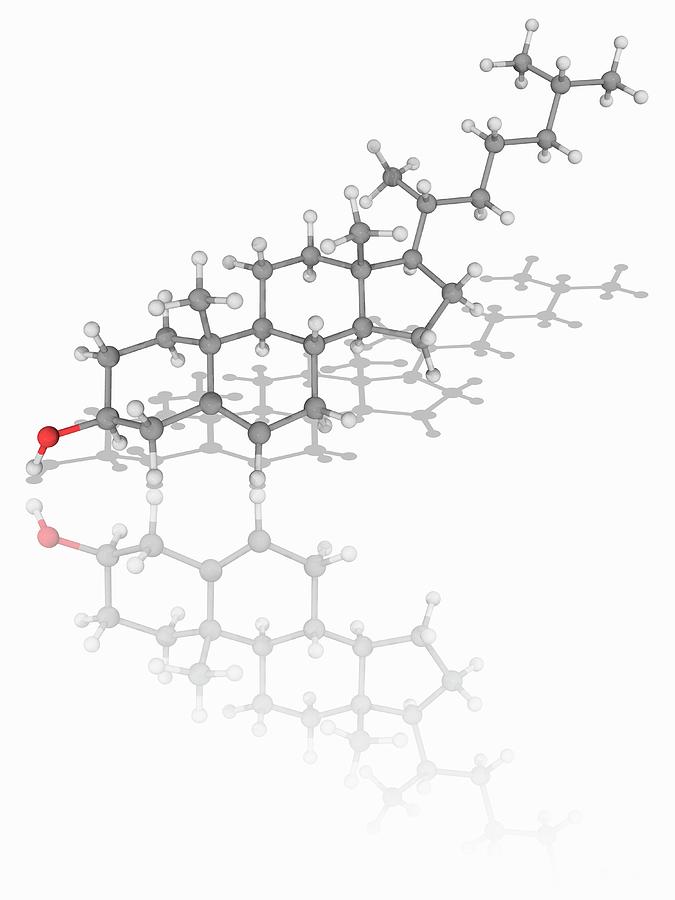 Cholesterol Organic Compound Molecule Photograph by Laguna Design ...