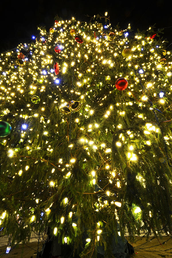 Christmas Tree Ornaments Faneuil Hall Tree Boston Photograph by Toby McGuire