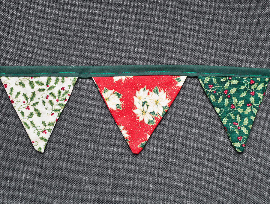 Christmas bunting #2 Photograph by Tom Gowanlock