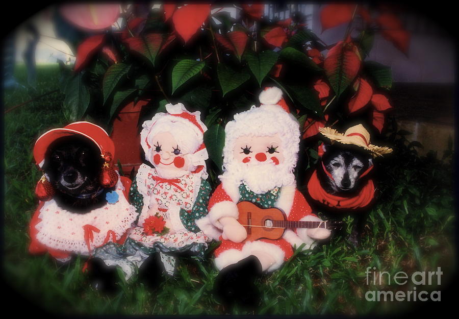 Christmas Dolls  Photograph by Alice Terrill
