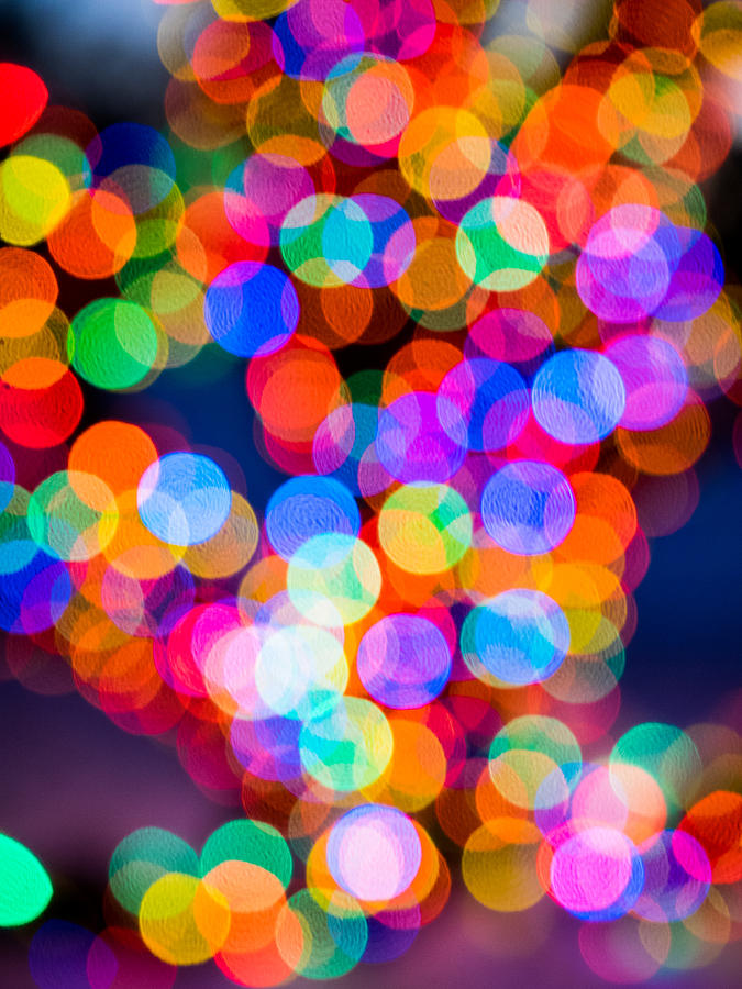Christmas Lights #2 Photograph by David Kay