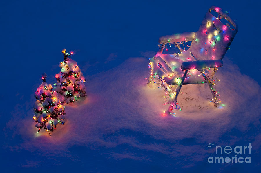 Christmas lights on trees and lawn chair #2 Photograph by Jim Corwin