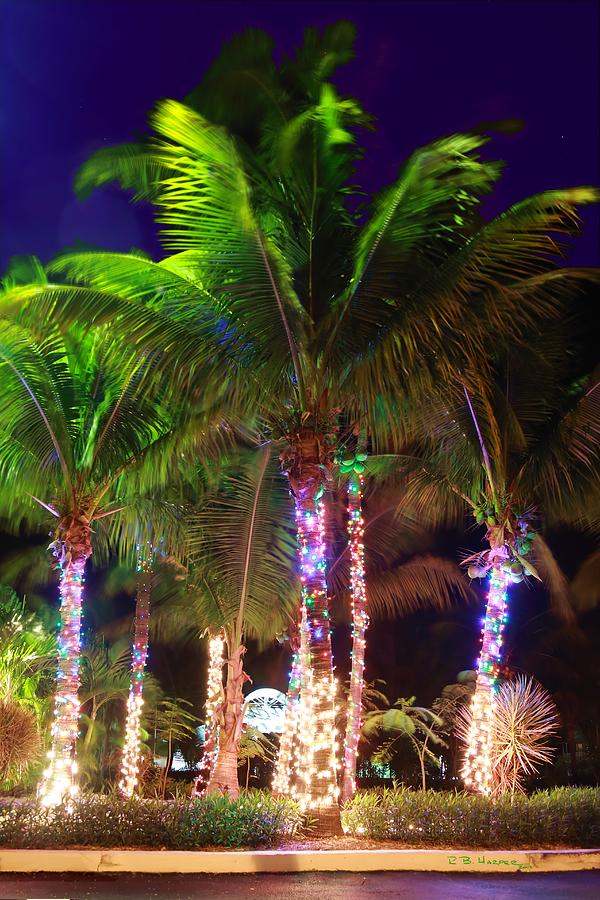 Christmas Palms #3 Photograph by R B Harper