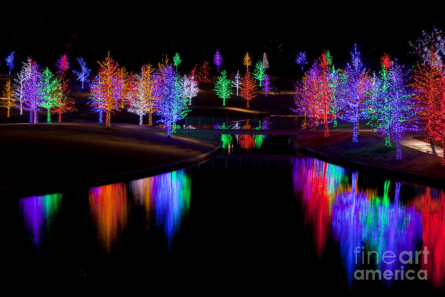 Christmas Reflections #2 Photograph by Anthony Totah