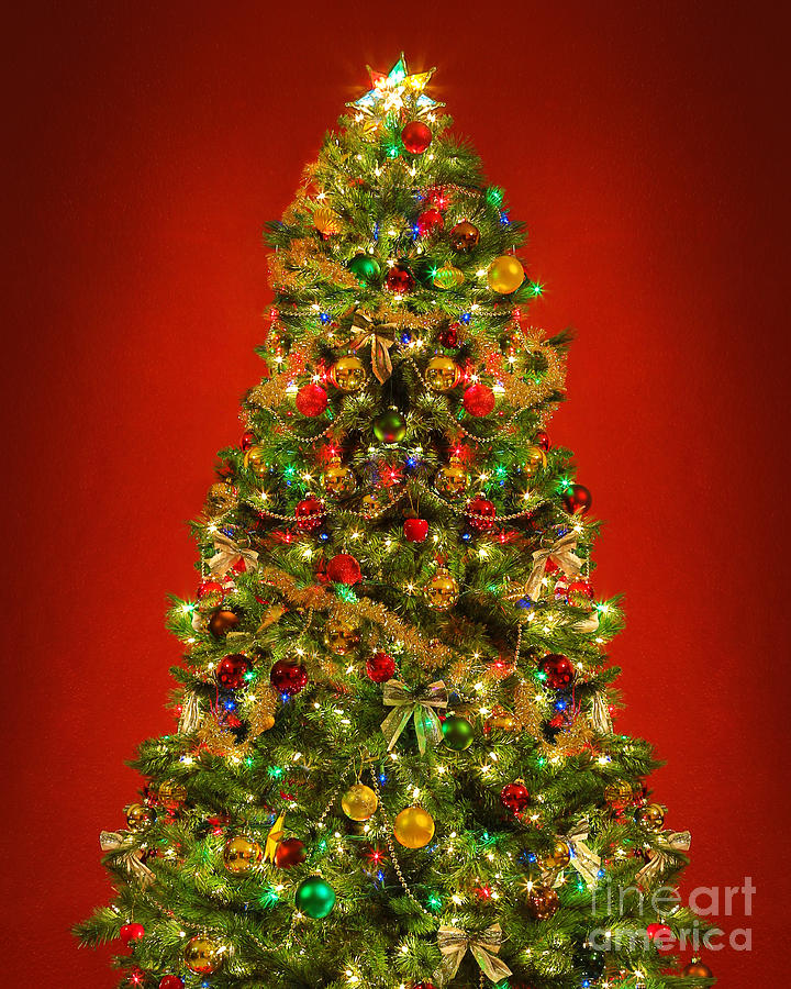 Christmas tree #2 Photograph by Mariusz Blach