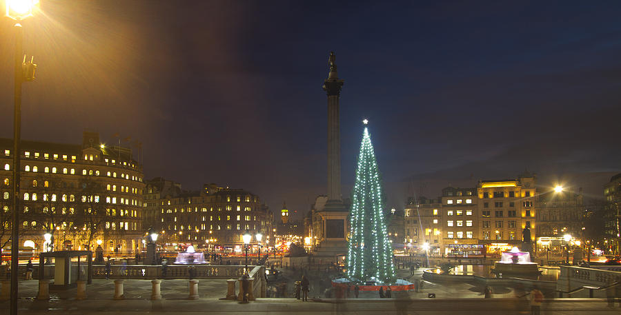 Christmas  Tree Trafalgar Square #2 Photograph by David French